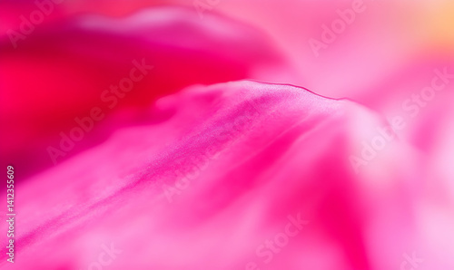 Close-up of vibrant pink flower petals showcasing delicate textures and soft hues in natural light