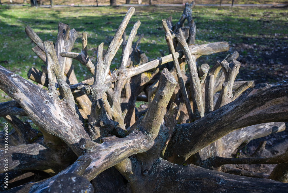 An outdoor installation of wooden branches and tree roots, creatively arranged in a circular fashion to create an organic artistic display.