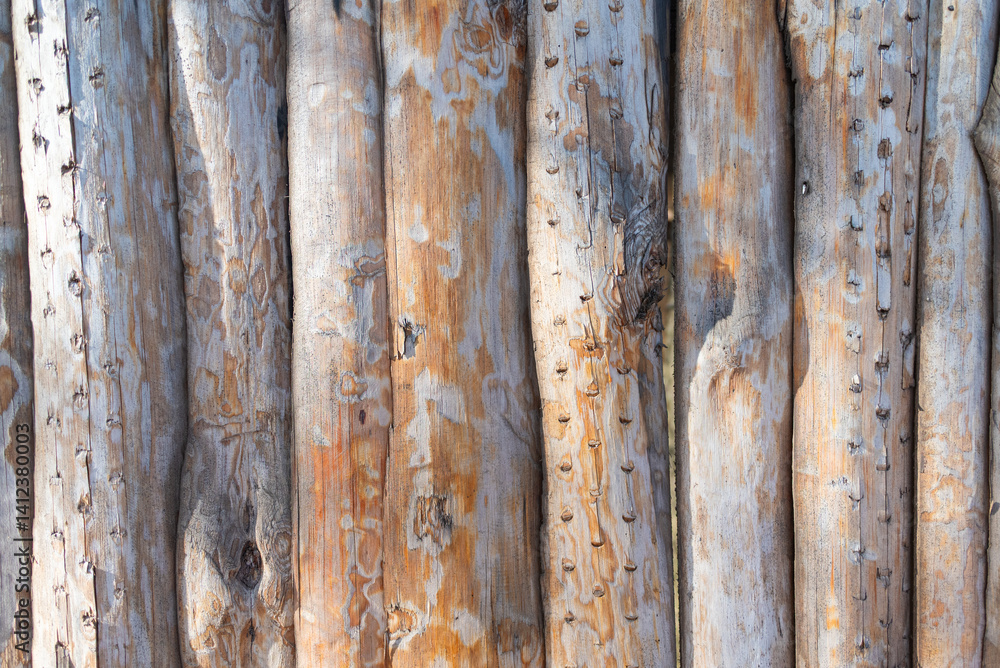 Natural wood bark texture with rough and smooth elements.