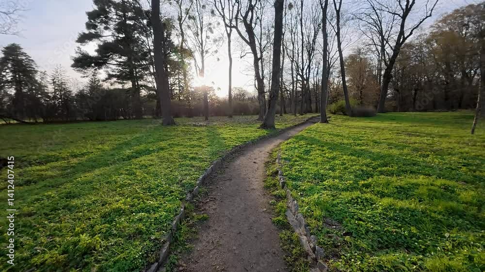 a walk along a park alley with green grass in early spring a walk along a park alley with green grass in early spring