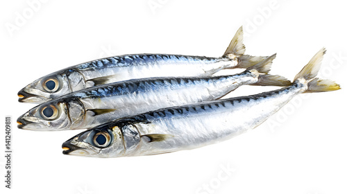 Sardines on White Background for Food Photography and Packaging Design
