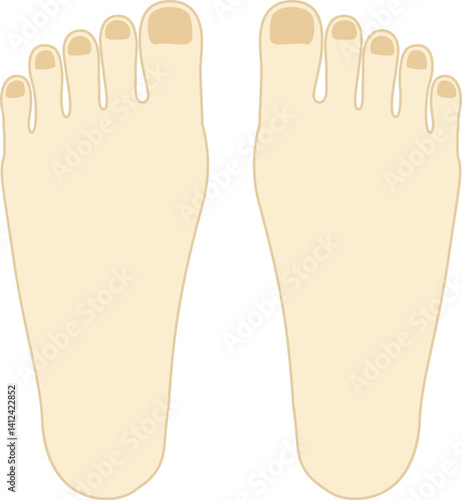 足のイラスト