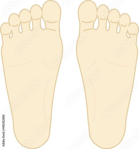 足の裏のイラスト
