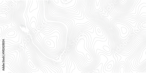 Detailed Sea Map with Geometric Lines and Topography, Featuring a Mounted Grid Pattern to Depict Area Space and Landscape Topos
