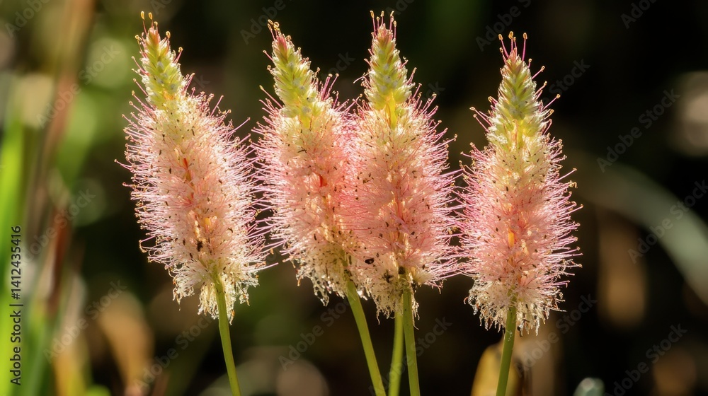 Obraz premium Delicate Pink Flowering Plants with Soft Textures and Green Background