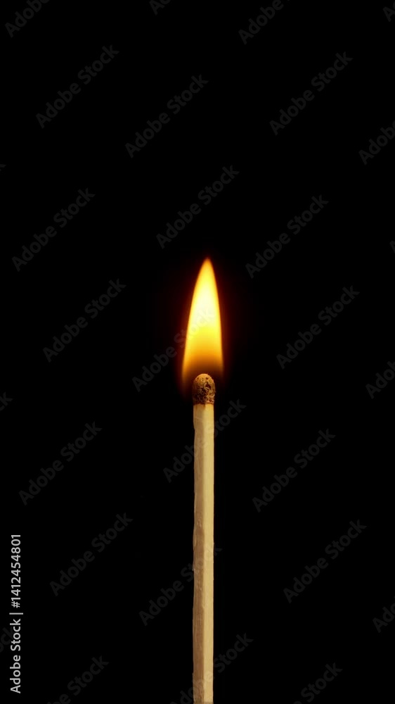 The ignition of the real head of match with black background in slow motion (120 fps. you have to speed x4 if you want to see it at real time). The ignition of the real head of match with black background in slow motion (120 fps. you have to speed x4 if you want to see it at real time).
