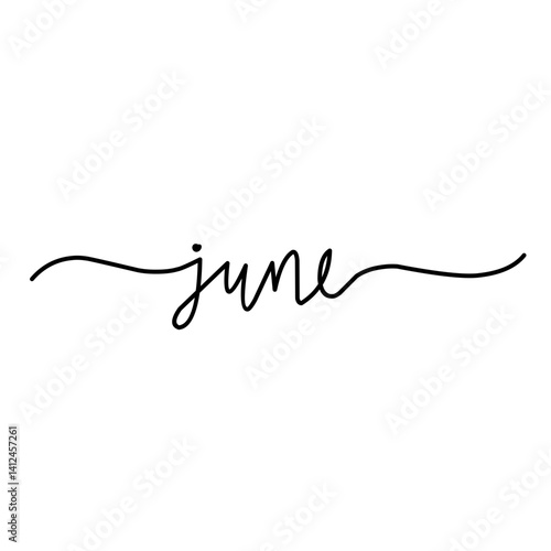 Months names line cursive calligraphy set.