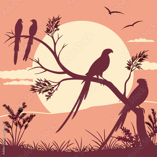 Silhouette of tropical birds on branch