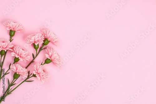 bouquet of pink carnations in a vase on a pink background