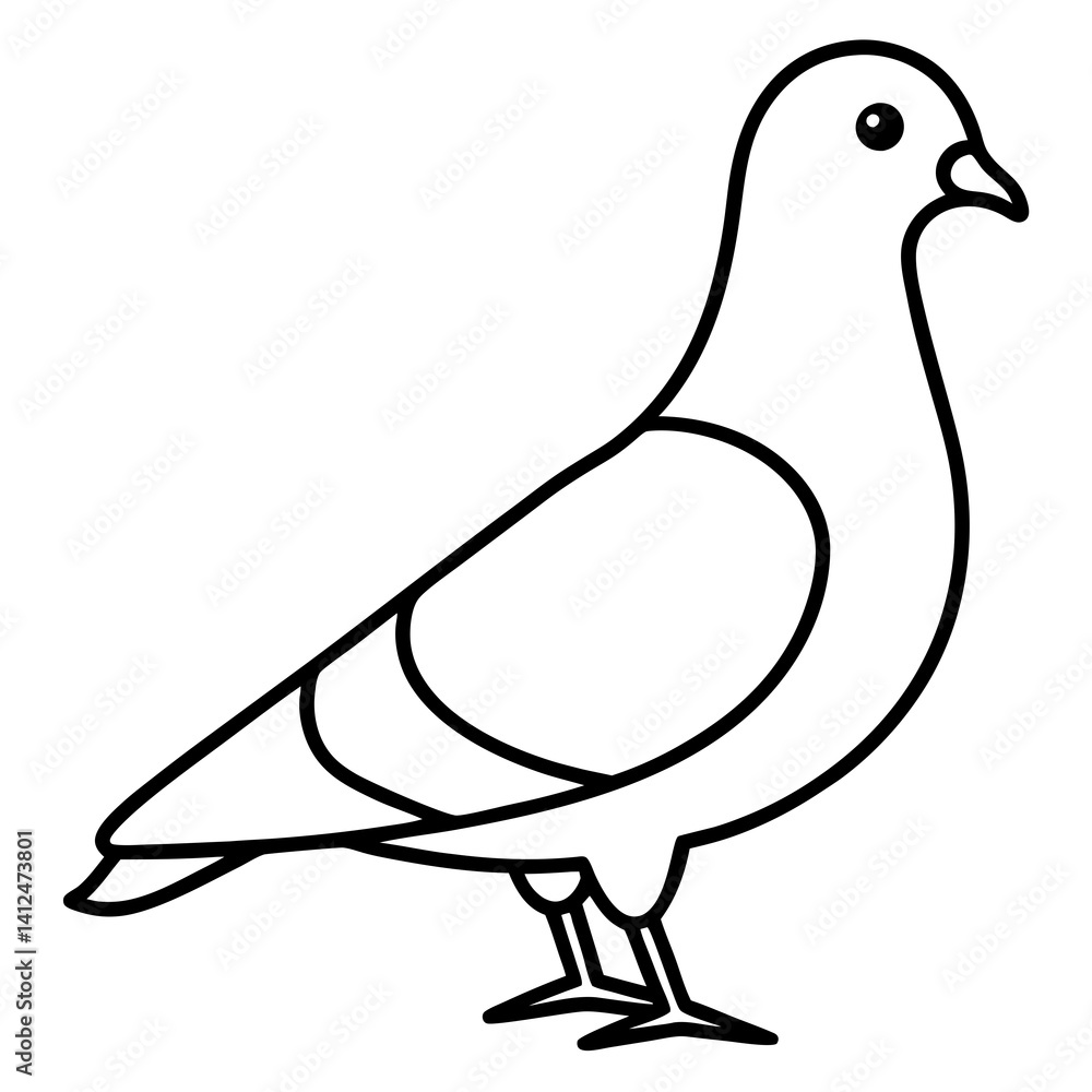 Fototapeta premium Elegant Pigeon Outline Illustration