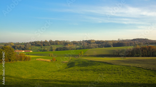 Fotografie Green fields and autumnal forest under a blue sky in Flemish Ardennes region nea