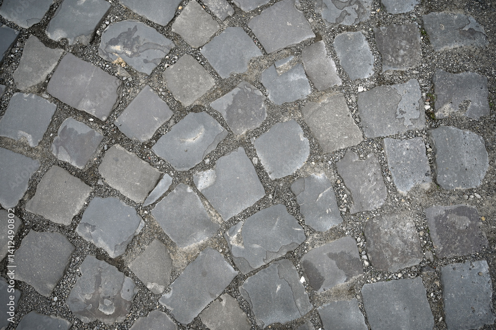 Textured cobblestone path winding through a historic city street on a rainy day