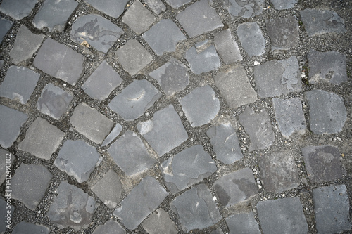 Obraz na płótnie Textured cobblestone path winding through a historic city street on a rainy day w salonie