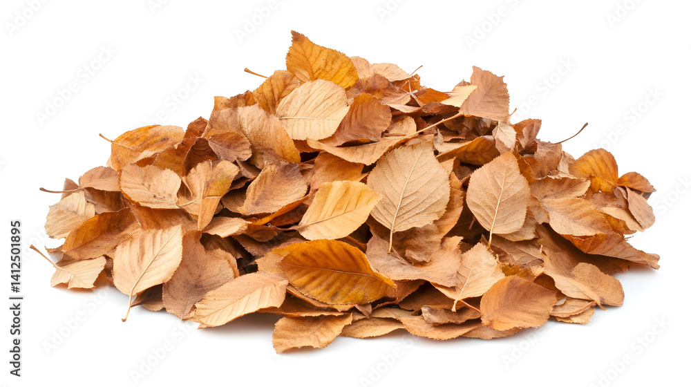 autumn leaves background, maple leaves autumn leaves background, maple leaves