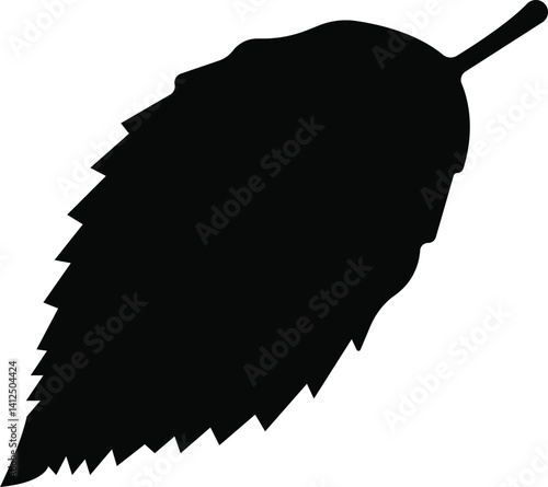 Hornbeam leaf in flat Useful leaves silhouette icons vegan analysis vector for apps, web isolated on transparent background