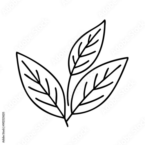 Solid black background with no discernible elements visible
