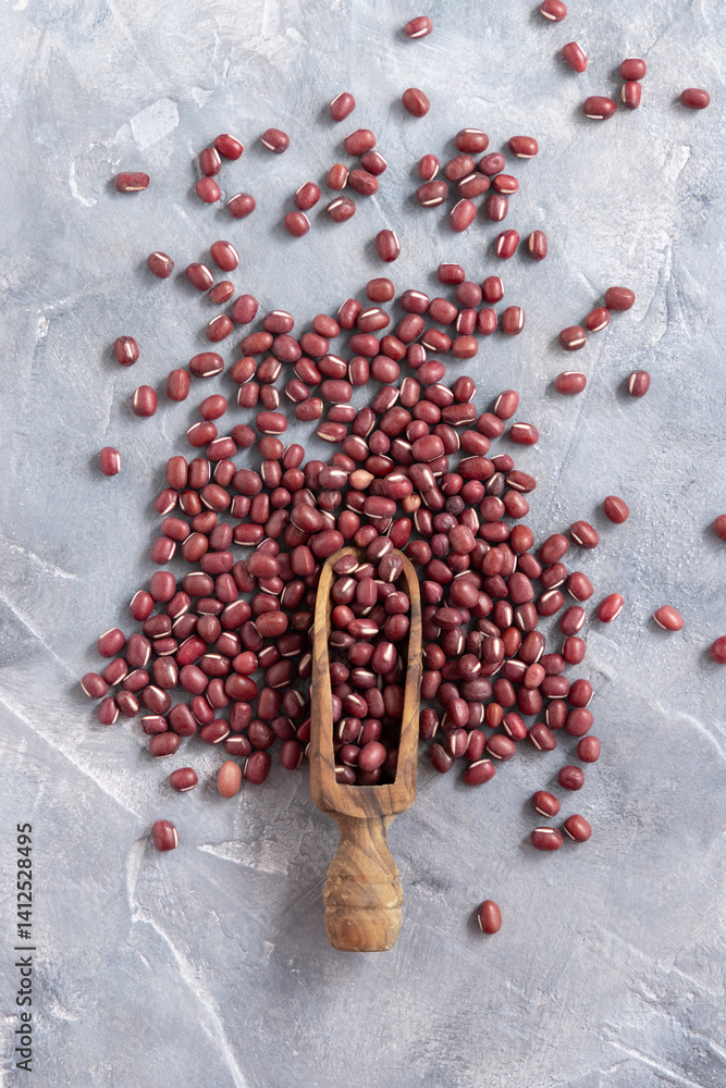 Scoop full of dried azuki beans on gray top view. East Asian legumes, vegetarian protein source