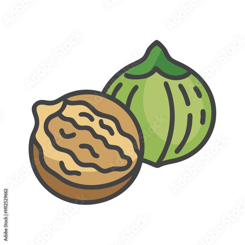 Walnut illustration with kernel and outer shell drawing