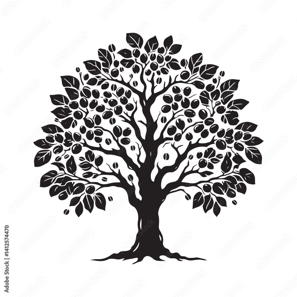 Fototapeta premium Kentucky coffee tree Black and White Vector - Kentucky coffee tree Silhouette - Kentucky coffee tree Illustration.