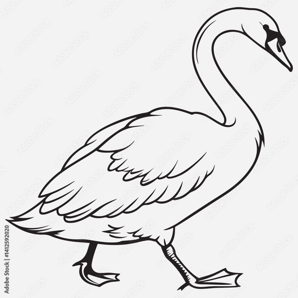 exclusive swan line art vector illustration exclusive swan line art vector illustration