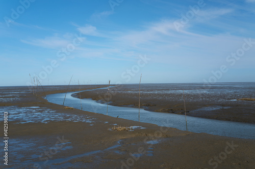 Serene Coastal Landscape with Winding Stream