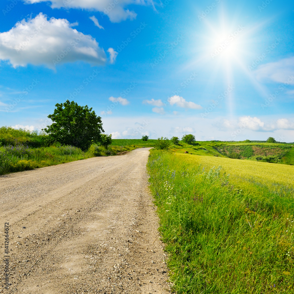 Obraz premium Wheat field, rural field road, hilly terrain and beautiful sun.