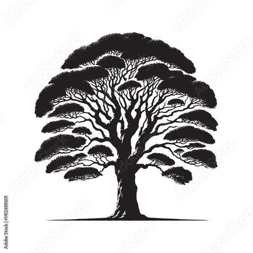 Lombardy poplar tree - Black and White tree Design - Lombardy poplar tree Silhouette - Vector of tree.