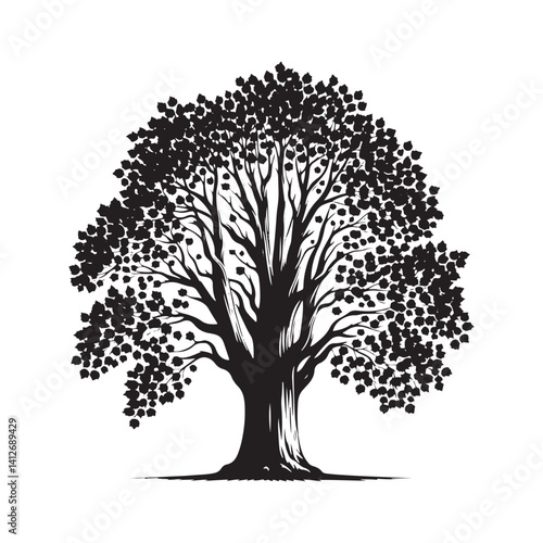 Lombardy poplar tree - Black and White tree Design - Lombardy poplar tree Silhouette - Vector of tree.