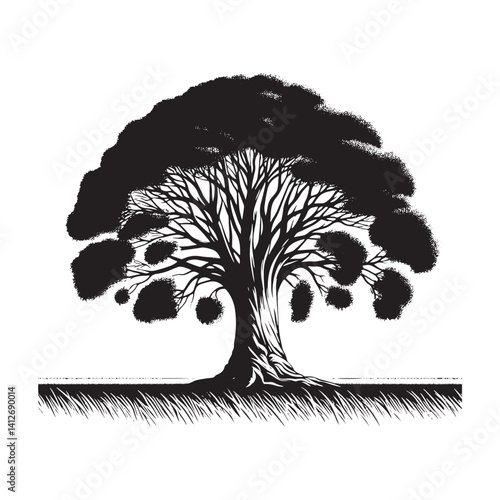 Lombardy poplar tree - Black and White tree Design - Lombardy poplar tree Silhouette - Vector of tree.
