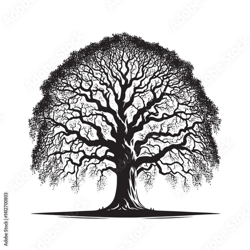 Lombardy London plane tree Vector - Minimalist Tree Silhouette - Tree Design - Tree Artwork.