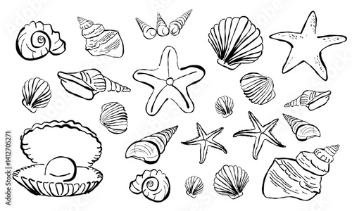 Muscheln und Seesterne Vektor Set, handgemalte Unterwasser Illustrationen