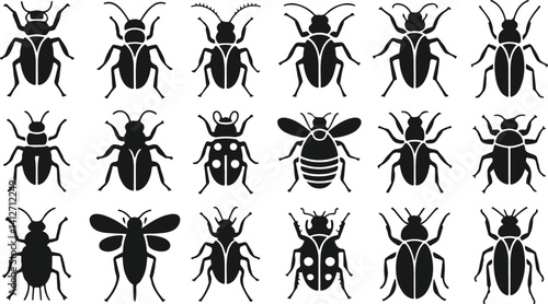 Vector silhouettes of various insects – beetles, ants, cockroaches, ladybugs, termites, earwigs, pest bug icons, creepy crawly