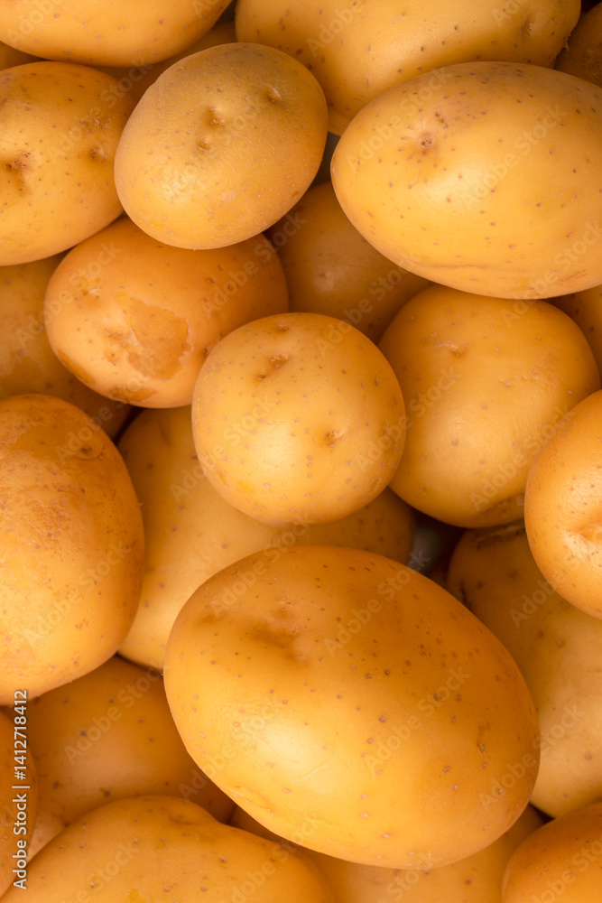 A group of fresh tasty potato as background. A group of fresh tasty potato as background.