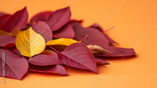 Autumn Leaves Arrangement On Orange Background