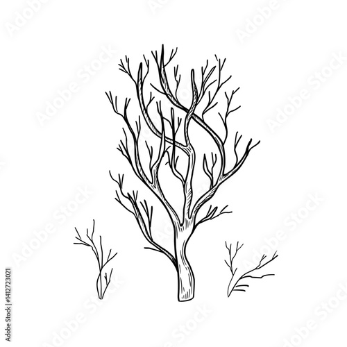 Bare tree, twigs hand drawn black white outline vector illustration. Winter tree and shrubs monochrome graphic sketch. Minimalist leafless branches, bough silhouette for Halloween or woodland print.