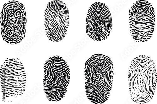 Identification Fingerprints Sketches Set Vector illustration