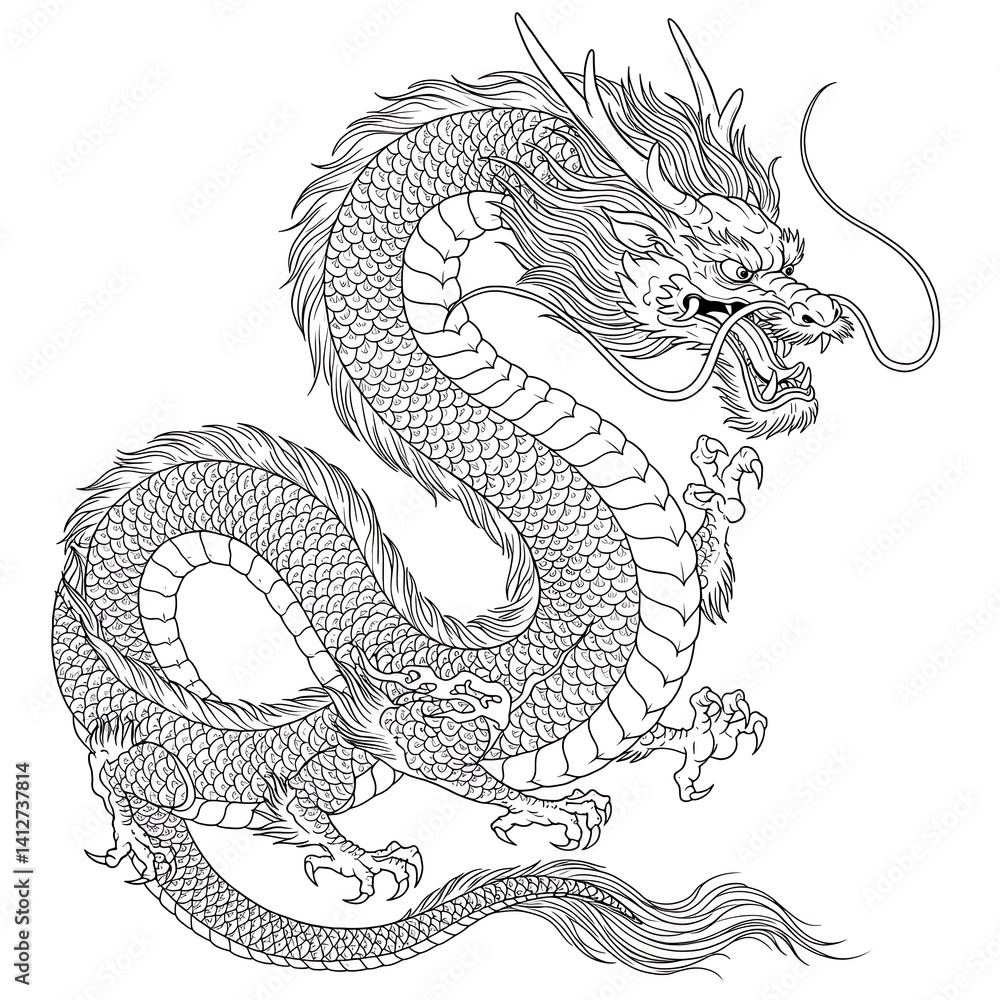 Obraz premium Traditional Eastern Dragon Line Drawing