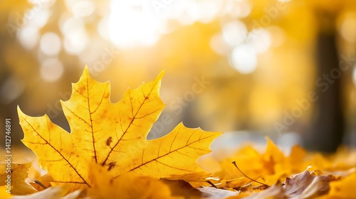 Vibrant yellow maple leaf resting on the ground surrounded by fallen autumn leaves and warm sunlight shining through : Generative AI