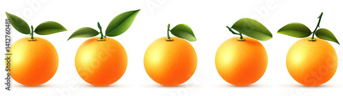 Five ripe oranges with green leaves