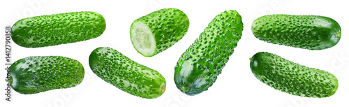 Wallpaper Mural Cucumber isolated. Cucumber on white background. Set of Cucumber with clipping path Torontodigital.ca