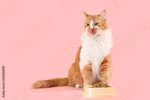 Cute cat near feeding bowl ...