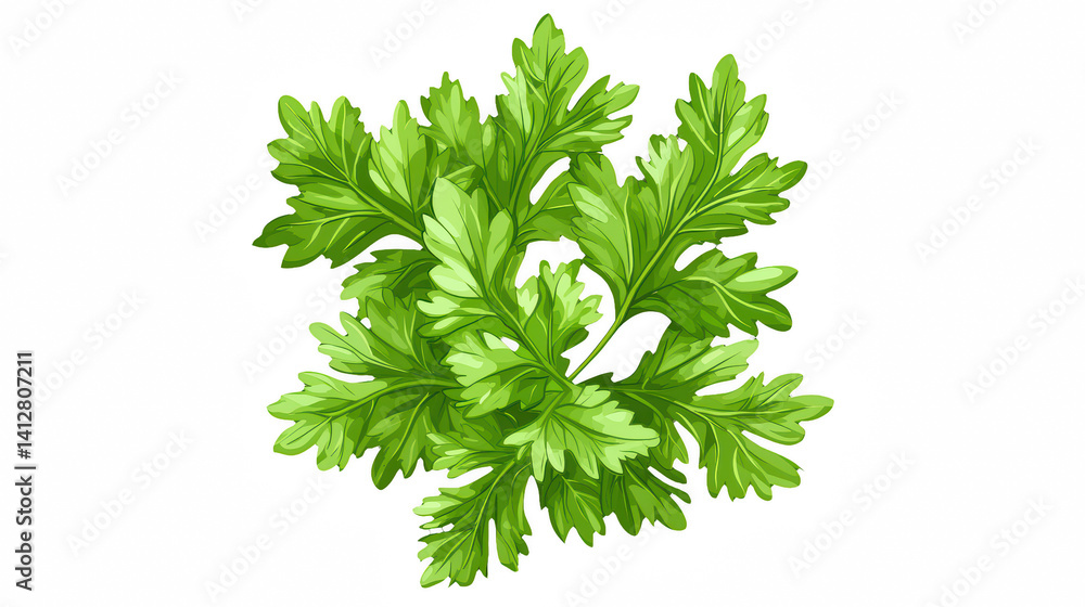 Fototapeta premium a green leaf of parsley on a transparent background, PNG image, PNG file, Generative art.