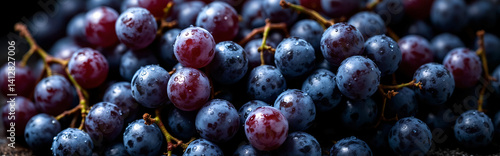 Wallpaper Mural Harvested blue and purple grapes background. Wet berries. Horizontal layout Torontodigital.ca
