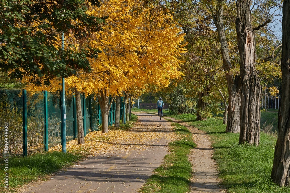Autumn park path with trees