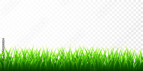 Green grass border set on transparent background. Vector Illustration