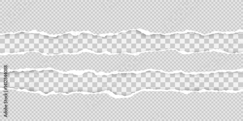 Torn paper edge. Ripped squared paper strips. Vector illustration