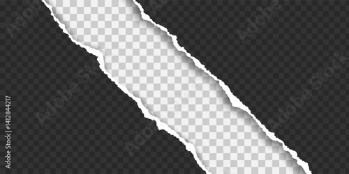 Torn paper edge. Ripped squared paper strips. Vector illustration