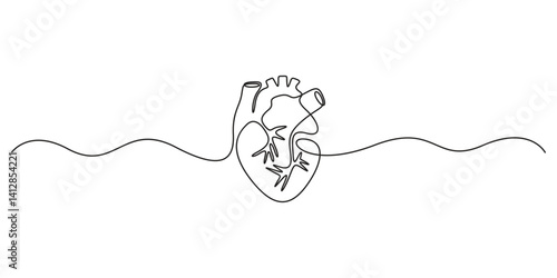 Continuous one line drawing of anatomical human heart organ. Medical internal anatomy concept. Modern single line draw trendy design vector illustration 