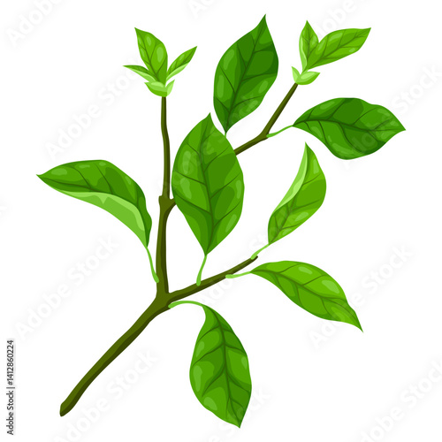 Obraz na płótnie Illustration of branch with leaves. Spring or summer stylized foliage. w salonie
