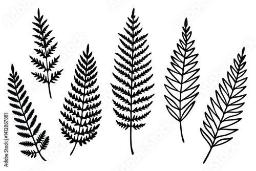 Green Fern Botanical Elements